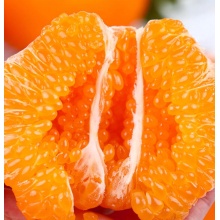 正宗四川春见耙耙柑粑粑柑杷杷柑新鲜水果整箱当季丑桔子橘旗舰店