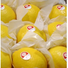 冠果奇 sea fruit 黄柠檬 特一级黄柠檬 新鲜水果 整箱批发