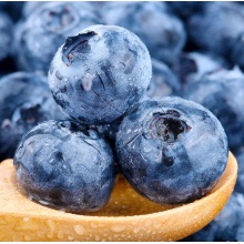 云南新鲜蓝莓新鲜水果鲜果蓝莓大果孕妇水果超级大一斤顺丰