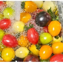 山东七彩小番茄新鲜现摘现发彩色小柿子清甜多汁圣女果混合装水果