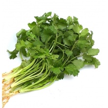 香菜叶脱水蔬菜干香菜提味烤荽菜户外烘焙香菜颗粒干香菜碎调味料