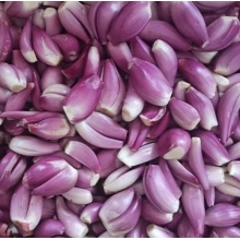 正宗广东去皮红葱头新鲜剥皮葱头餐饮店用香料干葱头小香葱火葱